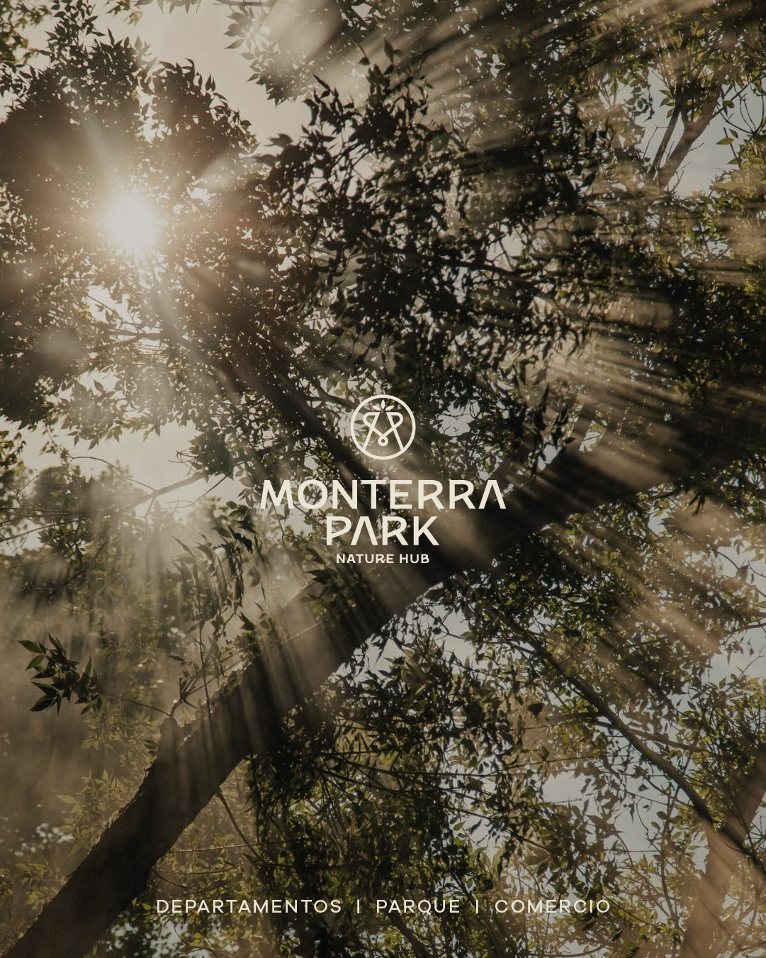 Contenido Monterra