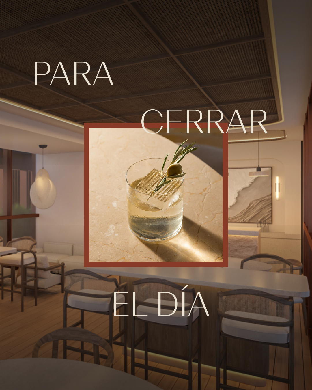 Contenido Monterra