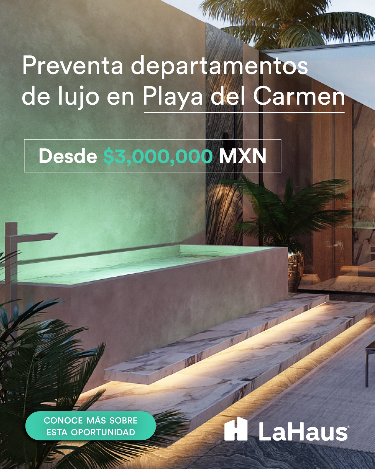 La Haus · contenido editorial