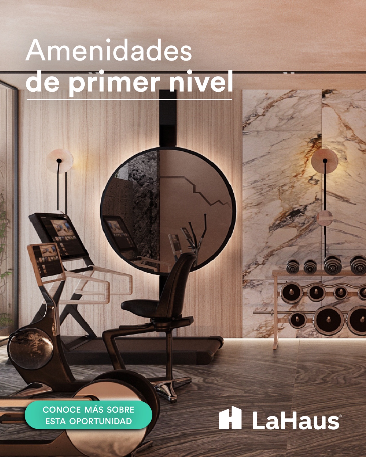 La Haus · contenido editorial